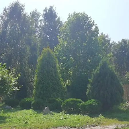 Lesny Apartament *